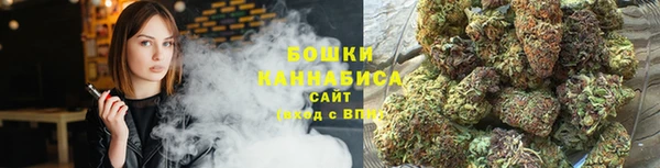 молекула духа Вяземский