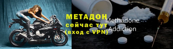 молекула духа Вяземский