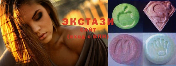 молекула духа Вяземский