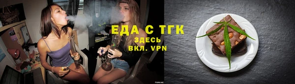 молекула духа Вяземский
