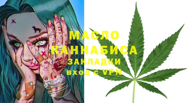 молекула духа Вяземский