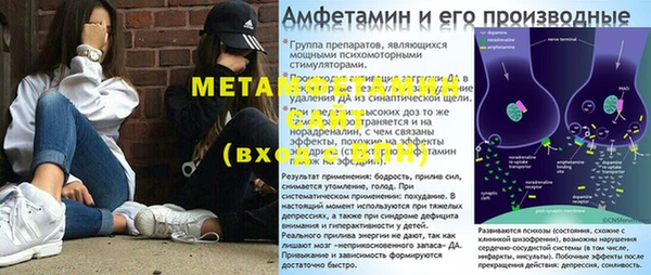 молекула духа Вяземский