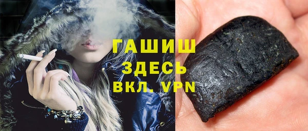 молекула духа Вяземский