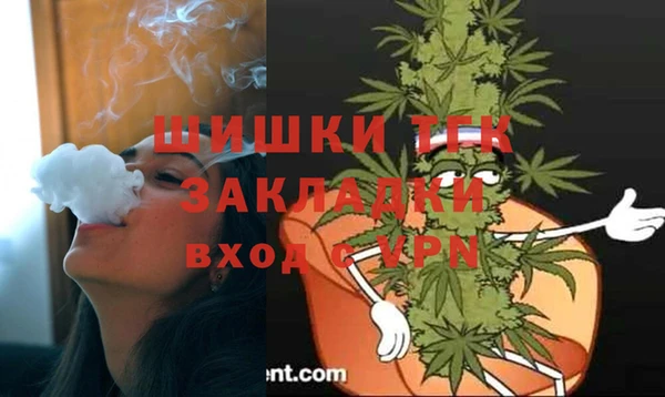 молекула духа Вяземский