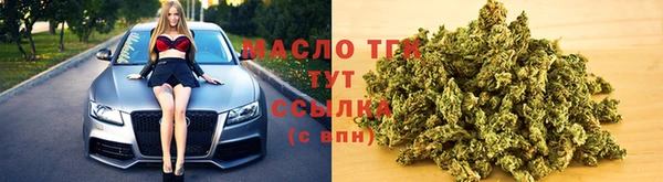 молекула духа Вяземский