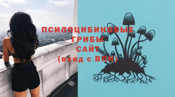 молекула духа Вяземский